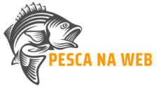 pesca-na-web-favicon